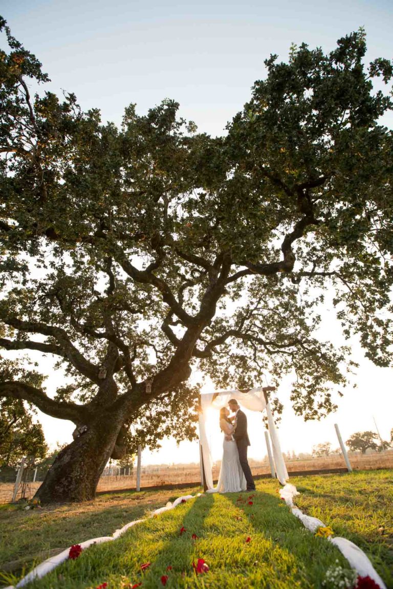 couple embracing under an alter and framed by an oak tree
