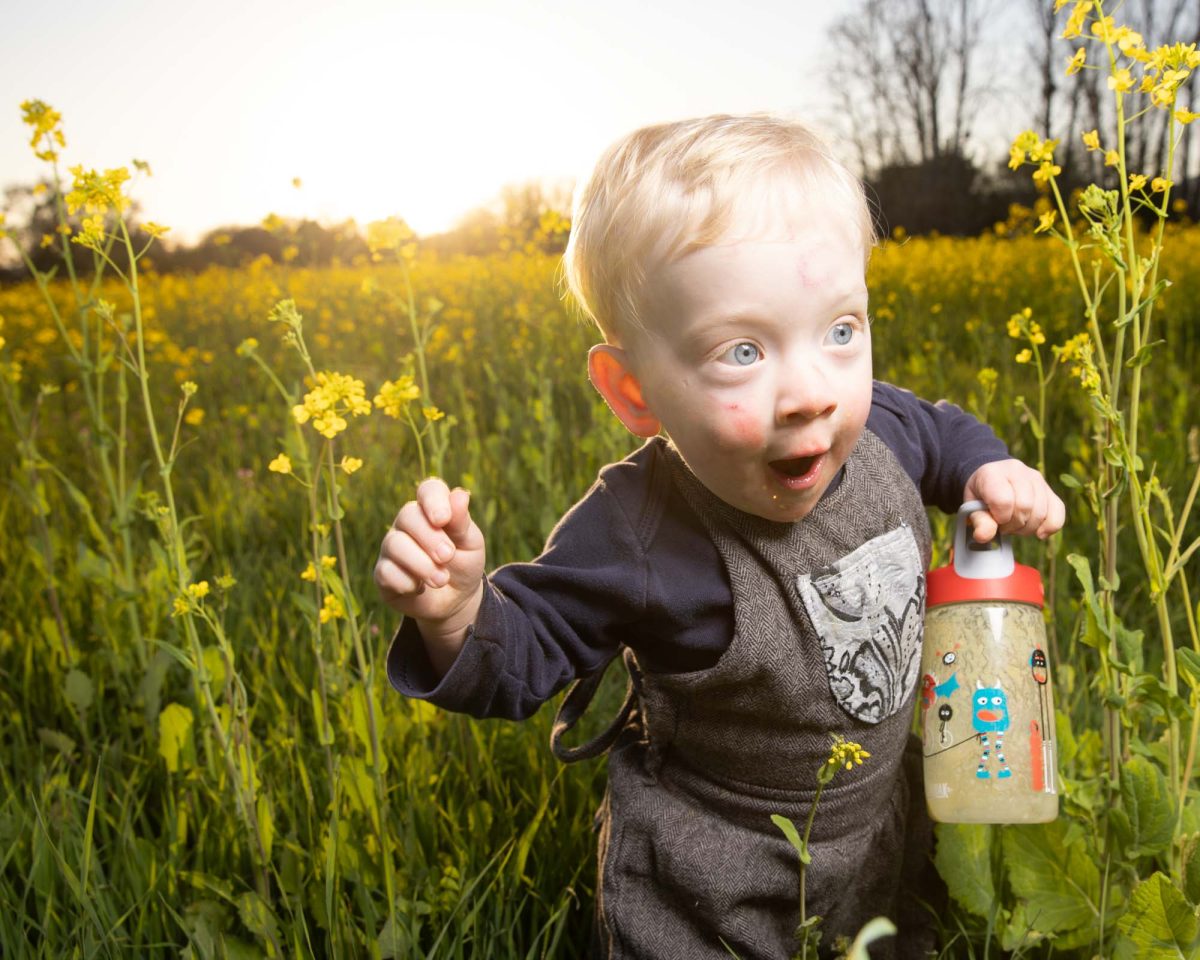 Tips for better children's portraits featuring an excited blonde-haired toddler with wide eyes and open mouth, clutching a colorful sippy cup adorned with robot designs, adventurously navigating a sun-drenched field of blooming yellow mustard flowers at sunset, dressed in gray overalls with an ornate bib pocket.