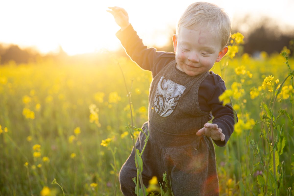 Delightful Santa Rosa kid's portraits depicting a beaming blonde-haired toddler with one arm raised in excitement and the other reaching forward, playfully navigating a radiant field of yellow mustard blooms under a warm sunset glow, attired in gray herringbone overalls with a ornate bib design.
