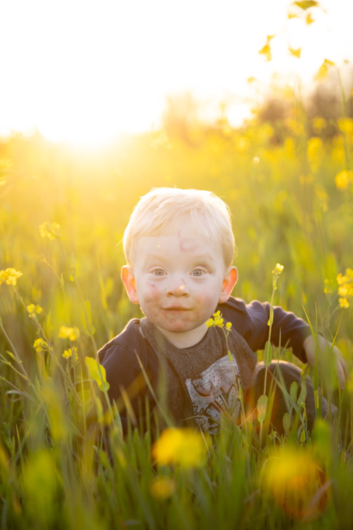 Captivating wildflower children's portraits in Santa Rosa showcasing an astonished blonde-haired toddler with wide eyes and a dirty face, sitting amidst a vibrant field of yellow mustard flowers bathed in golden sunset light, dressed in gray overalls with a decorative bib.