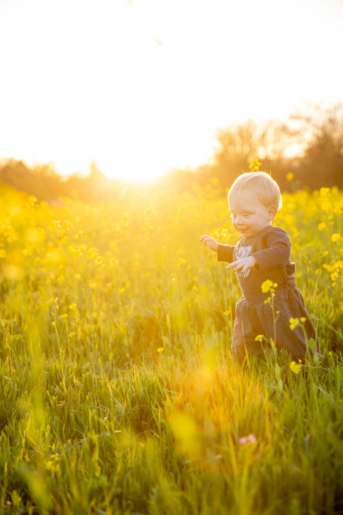 Candid children's portraits Sonoma County capturing a delighted blonde-haired toddler with a beaming smile, playfully reaching out while wandering through a glowing field of yellow mustard flowers under a warm sunset sky, dressed in cozy gray overalls with a patterned bib.