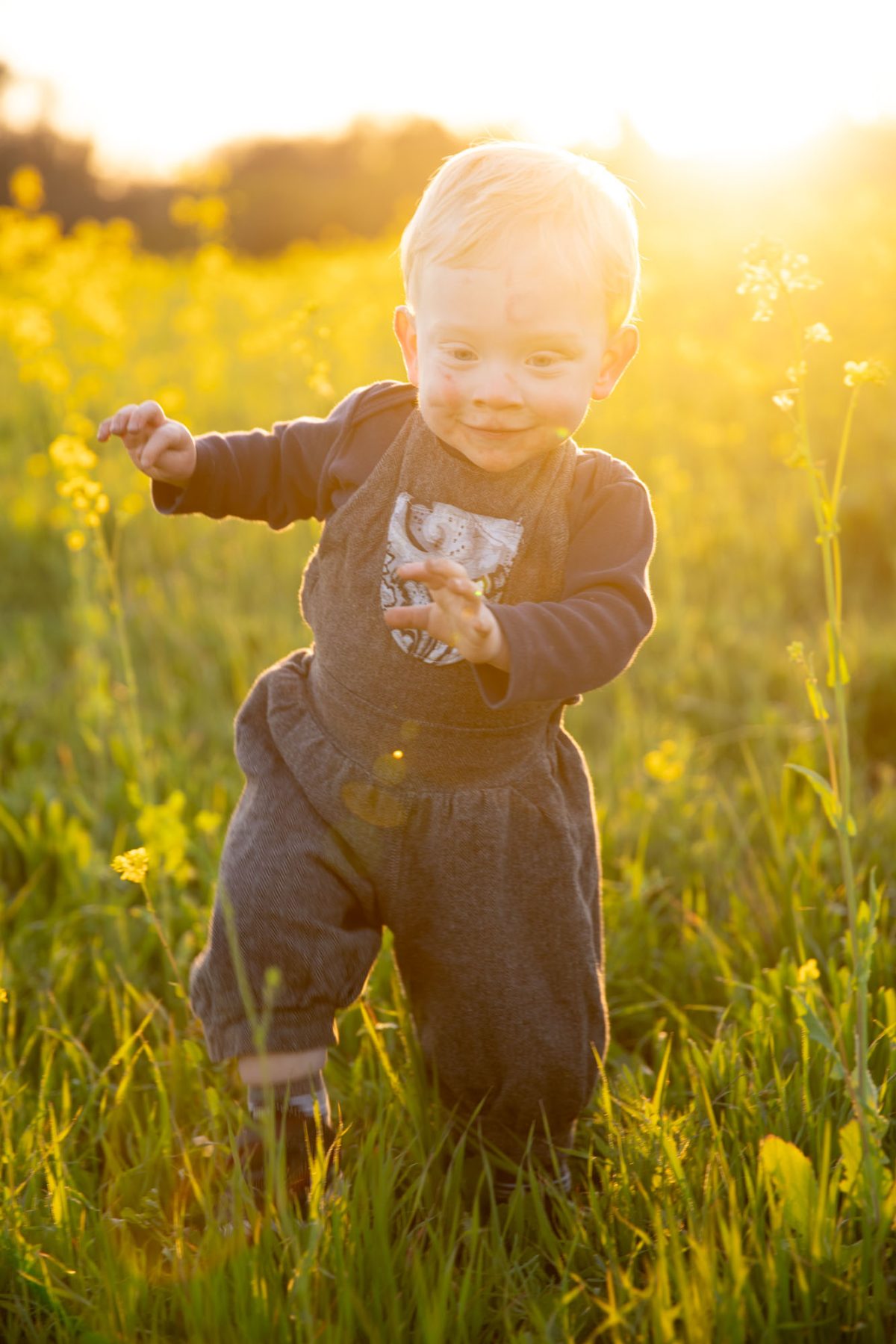 Joyful mustard portraits in Santa Rosa capturing a blonde-haired toddler with a delighted grin, playfully extending arms while strolling through a golden-hour field of blooming yellow mustard flowers, dressed in gray overalls featuring an ornate bib design.