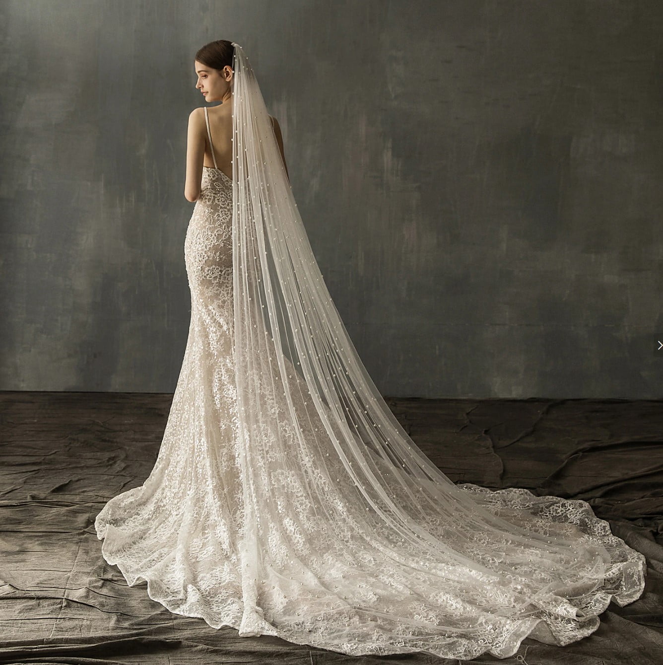 wedding dress with wedding veil