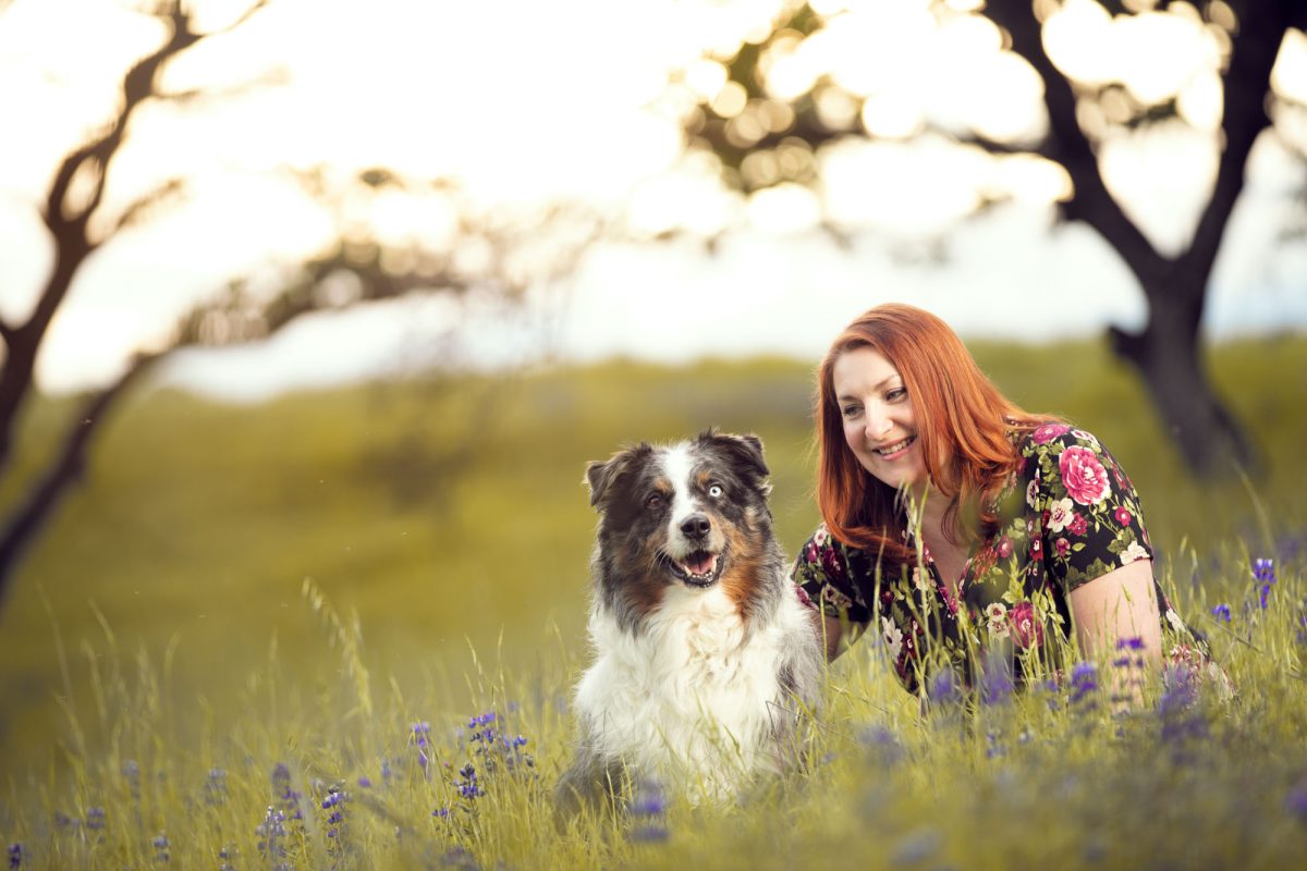 A woman with vibrant red hair, wearing a floral dress adorned with large pink and red roses, kneels in a field of tall green grass sprinkled with blooming purple wildflowers. Beside her sits a fluffy Australian Shepherd with a distinctive merle coat, featuring a mix of white, gray, black, and rust tones. The dog looks directly at the camera with a joyful expression, its tongue slightly out, while the woman gazes at it warmly, her hand gently resting on its back. The background features softly blurred trees and a golden sky, suggesting late afternoon or early evening light. The tranquil outdoor setting and tender connection between the woman and her dog beautifully capture the spirit of Sonoma Pet Portraits.