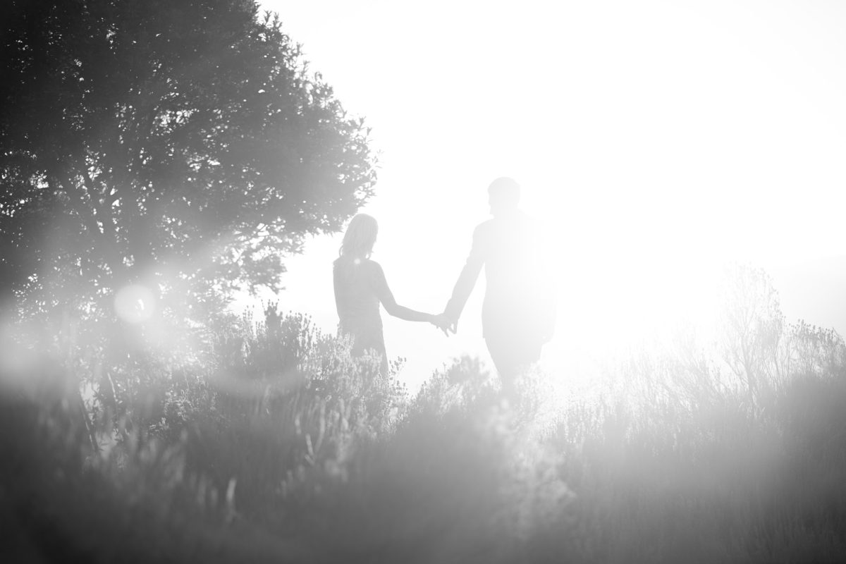 A couple is captured in a luminous black-and-white scene, holding hands as they walk through a sun-drenched landscape filled with soft, natural vegetation. The intense backlighting creates a dreamy, ethereal glow that silhouettes their figures, casting them in a gentle haze. The woman’s hair and dress are faintly visible in the light, while the man's outline suggests a suit or formal attire. The surrounding trees and foliage are rendered in delicate detail through the misty atmosphere, enhancing the romantic, almost surreal mood. This visually poetic image beautifully represents Artistic couple's portraits Sonoma, blending intimacy with the beauty of nature and light.