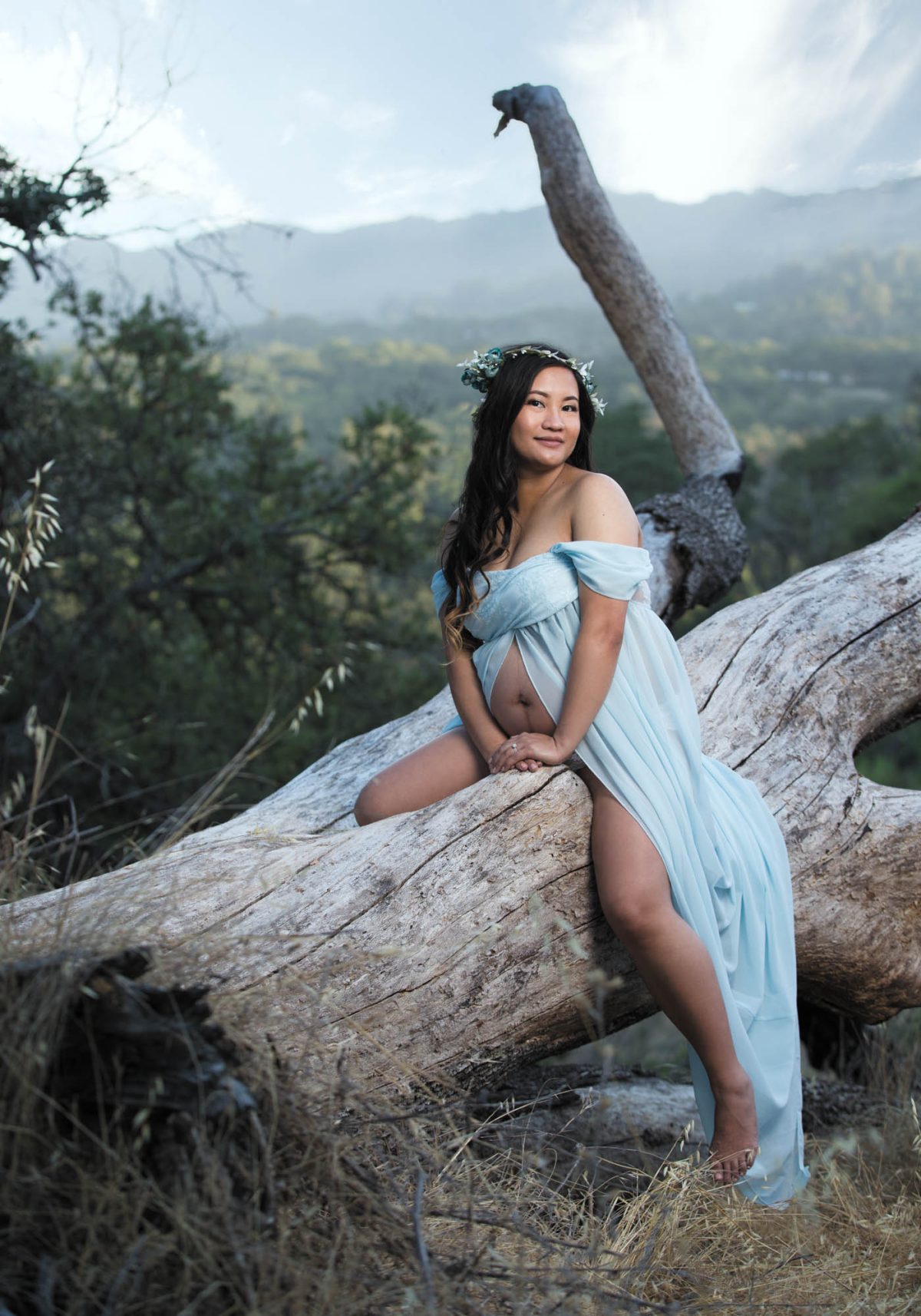 A pregnant woman sits gracefully on a large, weathered fallen tree trunk surrounded by dry grass and lush hillside vegetation, with misty mountains fading into the distance behind her. She wears a flowing, pale blue off-the-shoulder gown that gently drapes over her form, revealing her baby bump and legs in a serene, natural pose. A crown of soft blue and white flowers rests on her long, wavy dark hair, complementing the earthy tones and adding a whimsical, ethereal touch to the scene. Her expression is calm and radiant, perfectly capturing the peaceful beauty of Maternity Portraits Napa Valley.