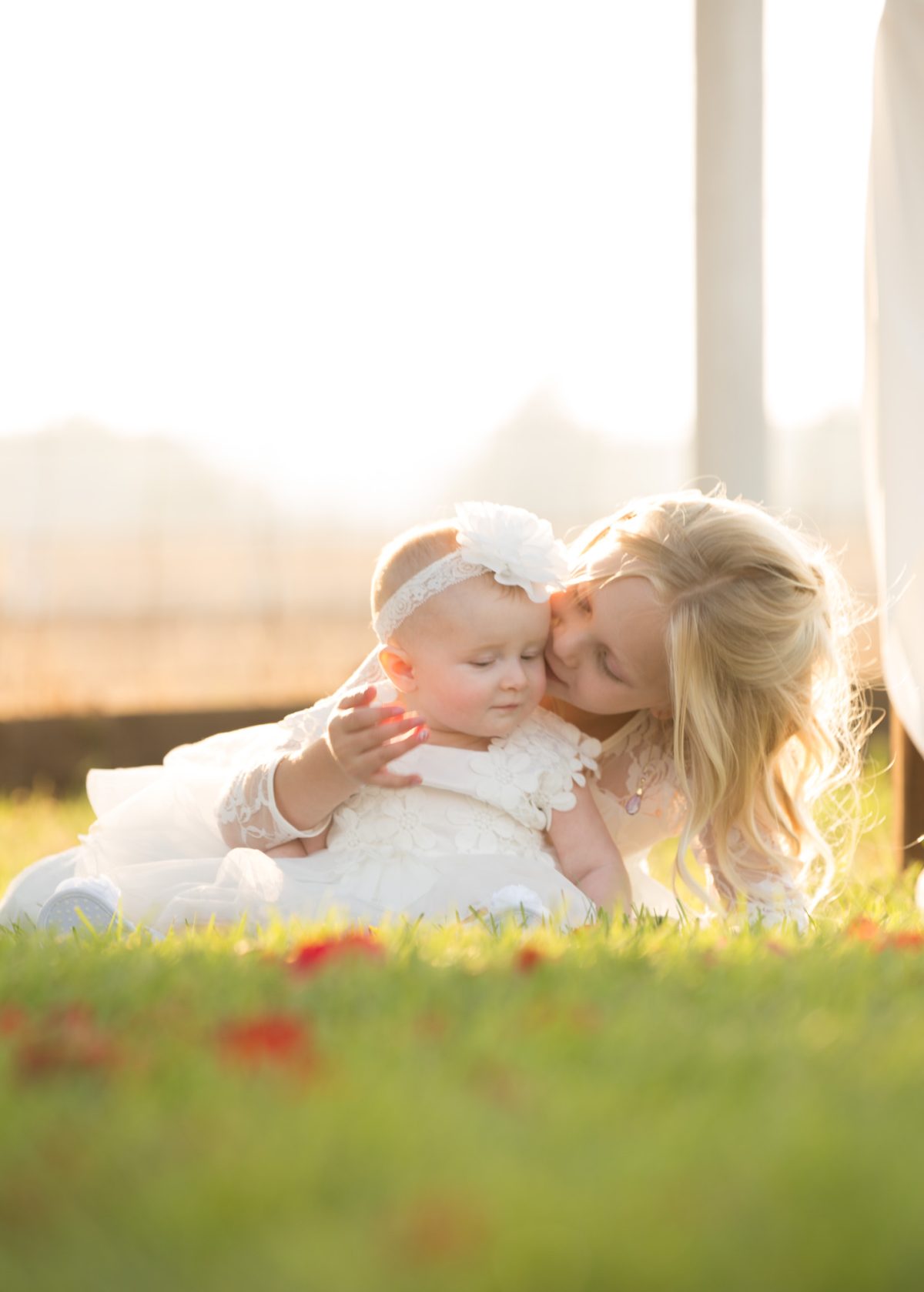 A tender outdoor moment is captured in warm, golden-hour light as two young siblings share a sweet embrace on a grassy lawn. A baby girl, dressed in a white lace dress with floral appliqués and a large flower headband, sits contentedly on the ground. Beside her, an older girl with long, wavy blonde hair leans in lovingly, gently holding her and whispering close to her cheek. Both children are bathed in soft sunlight, creating a dreamy, glowing effect that highlights their delicate features and the texture of their light-colored dresses. Red flower petals are scattered across the grass in the foreground, adding a touch of color and whimsy. The peaceful background of open fields and soft-focus structures suggests a serene rural setting, perfectly illustrating the warmth and intimacy of Sonoma Family Portrait Photography.