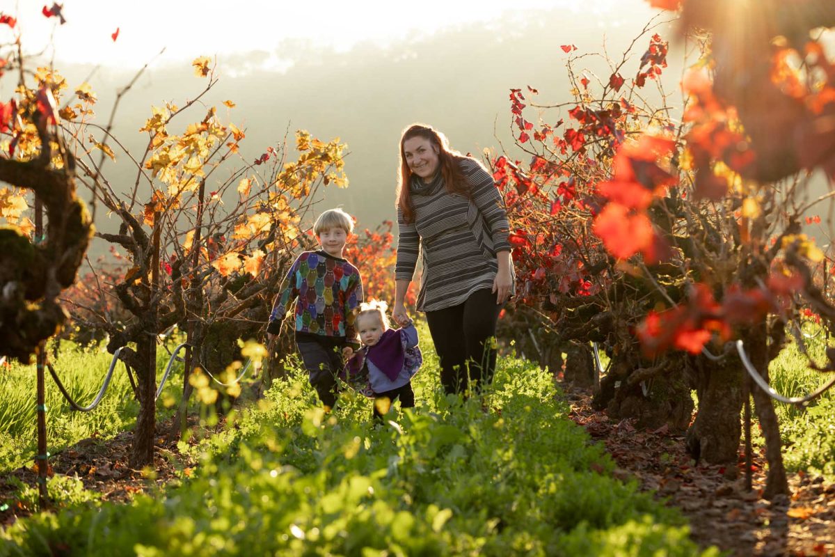 A joyful mother with red hair smiles while holding her toddler daughter's hand, accompanied by her young son, as they stroll through rows of vibrant autumn grapevines with red, orange, and yellow leaves under a warm sunrise glow, by Sonoma County Family Photographer.