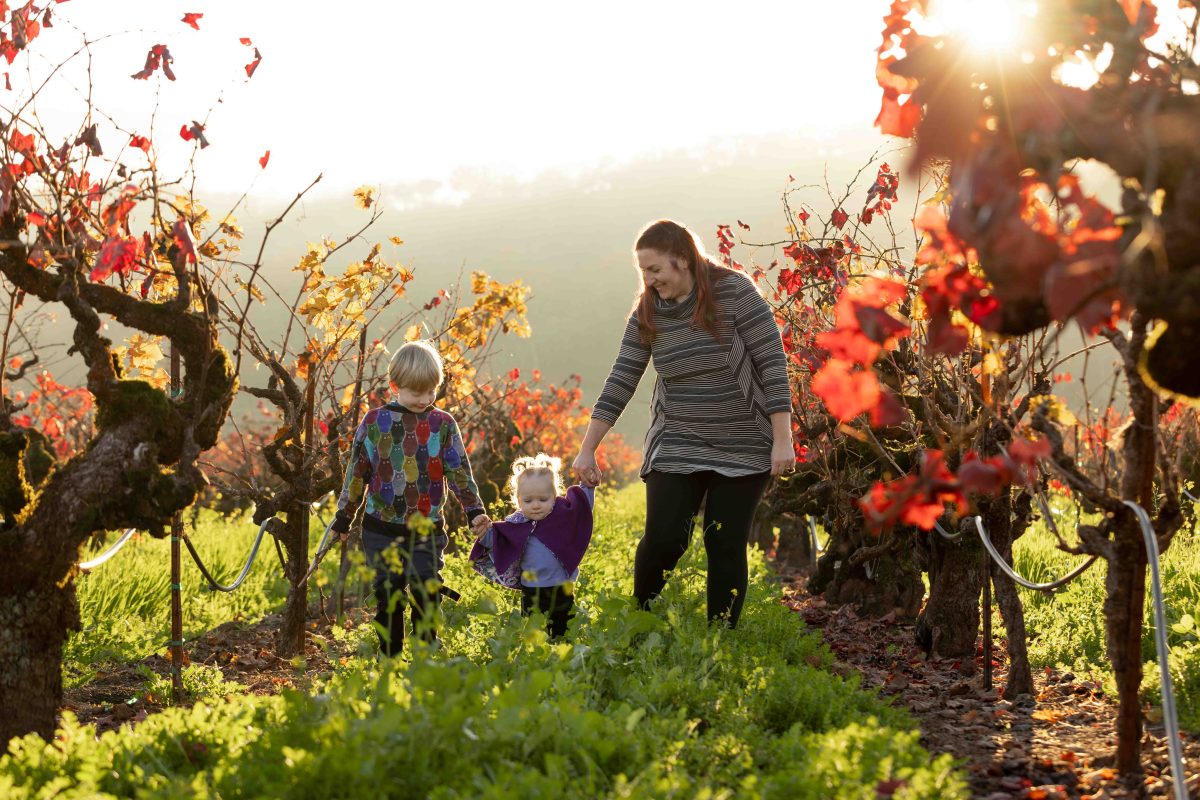 A woman smiling and holding hands with two young children—a boy in a colorful jacket and a toddler in purple—as they walk through rows of grapevines with red and yellow autumn leaves, with the sun setting in the background of this Sonoma County fall family portrait