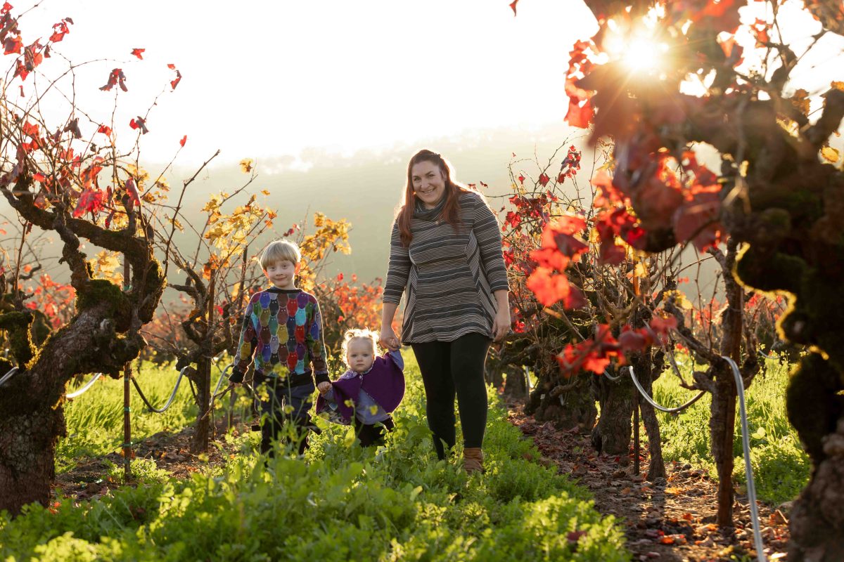 A mother smiles as she holds hands with her two young children, walking through rows of grapevines with colorful autumn foliage in a vineyard in Kenwood, California, under a bright sunset
