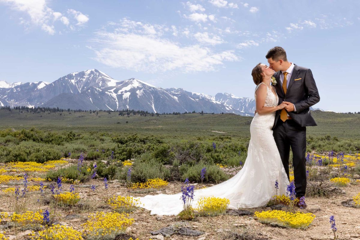 A joyful newlywed couple shares an intimate kiss in a breathtaking alpine meadow, surrounded by blooming yellow and purple wildflowers under a clear blue sky. Behind them, majestic snow-capped mountains rise sharply, creating a stunning natural backdrop. The bride wears a form-fitting white lace gown with a long, delicate train that trails over the earth, her hair styled in soft waves. The groom, dressed in a dark suit with a golden tie and matching pocket square, holds her hand gently as they lean into each other with warm smiles. The bright, midday sunlight illuminates the scene with clarity and vibrance, enhancing the vivid colors of the landscape and their attire. This beautifully composed image perfectly captures the elegance, emotion, and grandeur of California Wedding Photography.