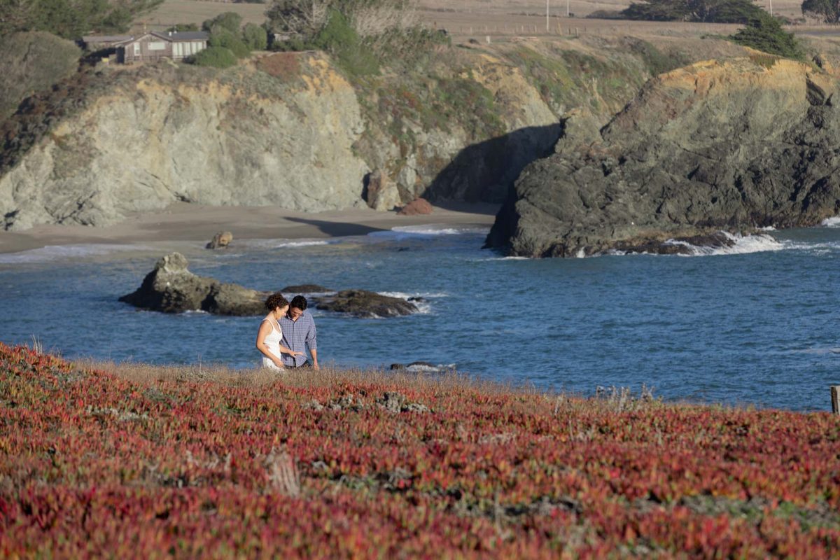 A woman with curly hair in a white sleeveless dress stands beside a man wearing a blue checkered shirt on a coastal bluff blanketed in vibrant red and green succulent plants as they look down admire her ring with the rocky cliffs in the background. Bright natural daylight illuminates the scenic landscape during their couple's photography in Bodega Bay.