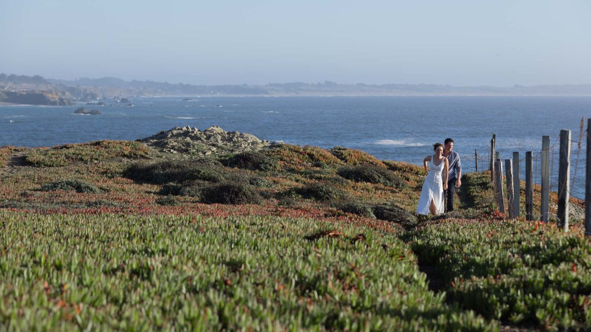 A woman with curly hair in a white sleeveless dress walks beside a man wearing a blue shirt across a vibrant coastal bluff blanketed in lush green and red succulent plants. Bright natural daylight illuminates the vast blue ocean and distant cliffs in the background during their couple's portraits Duncan's Landing.