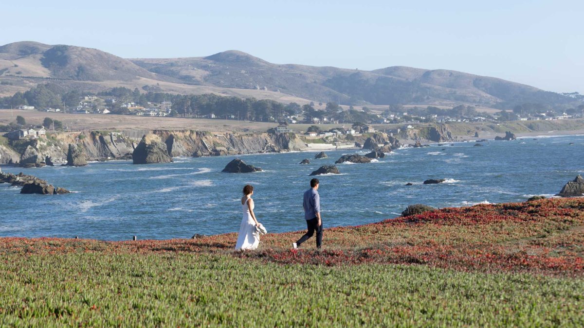 A couple walks side by side across a vibrant coastal bluff blanketed in lush green and red ground cover as the woman in a flowing white sleeveless dress carries her shoes in one hand. The man wears a blue button down shirt and dark pants while they stroll through this sunlit landscape with the deep blue ocean waves crashing against rocky outcrops below steep cliffs and rolling hills dotted with homes in the distance. Bright natural daylight illuminates the entire scene captured moments before this surprise proposal.