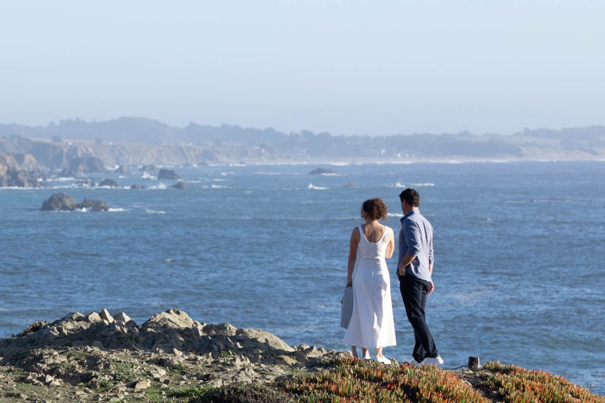 A woman with curly hair in a white sleeveless dress stands on a rocky coastal bluff beside a man wearing a blue checkered shirt as they both gaze out at the vast blue ocean with waves breaking around distant rocks and steep cliffs. She holds her shoes in one hand while he stands relaxed with hands at his sides amid vibrant green and red succulent ground cover under bright natural daylight in this peaceful scene captured shortly before he proposes.