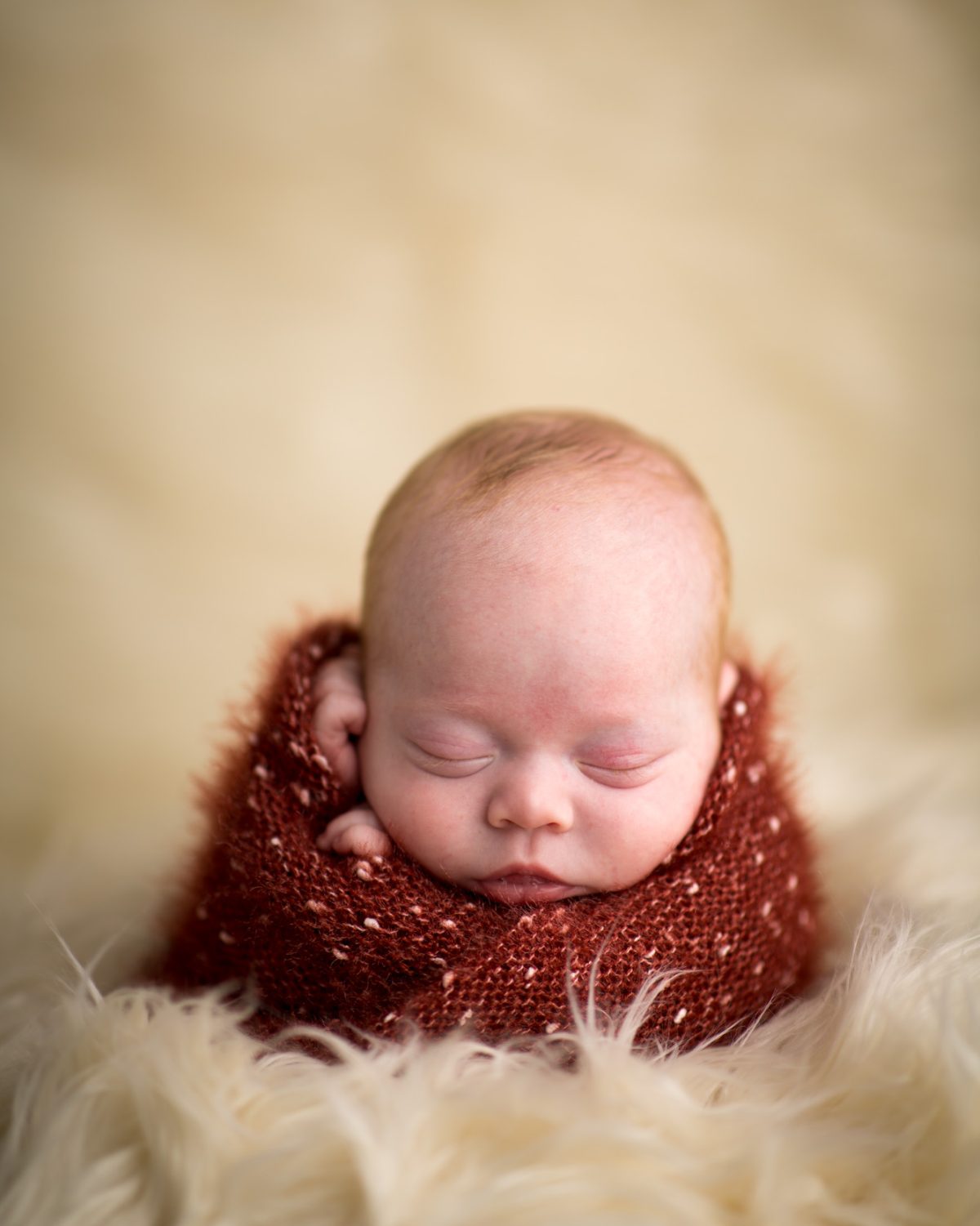 This close-up from bay area newborn photo session shows a sleeping newborn baby resting peacefully with eyes closed, wrapped snugly in a soft rust colored knitted wrap and nestled on a fluffy white surface under gentle warm lighting.