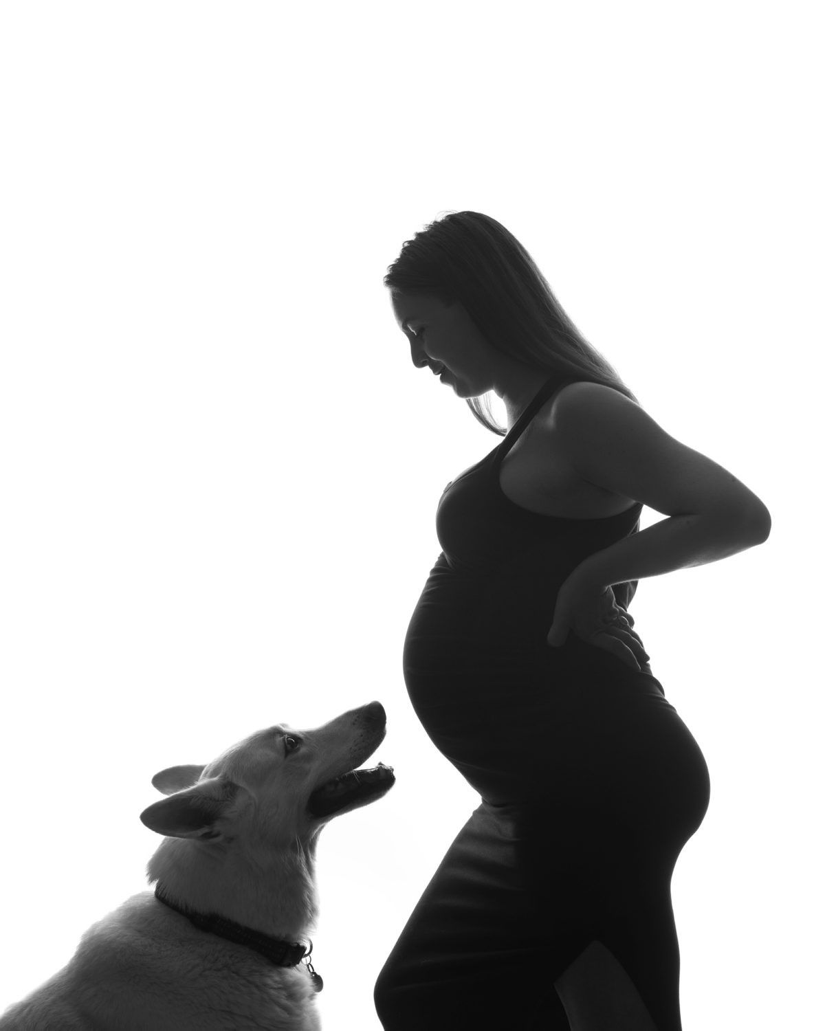 Bright backlighting creates a striking black and white maternity silhouette photo with a dog as a pregnant woman stands in profile smiling down at her dog with one hand resting gently on her belly.