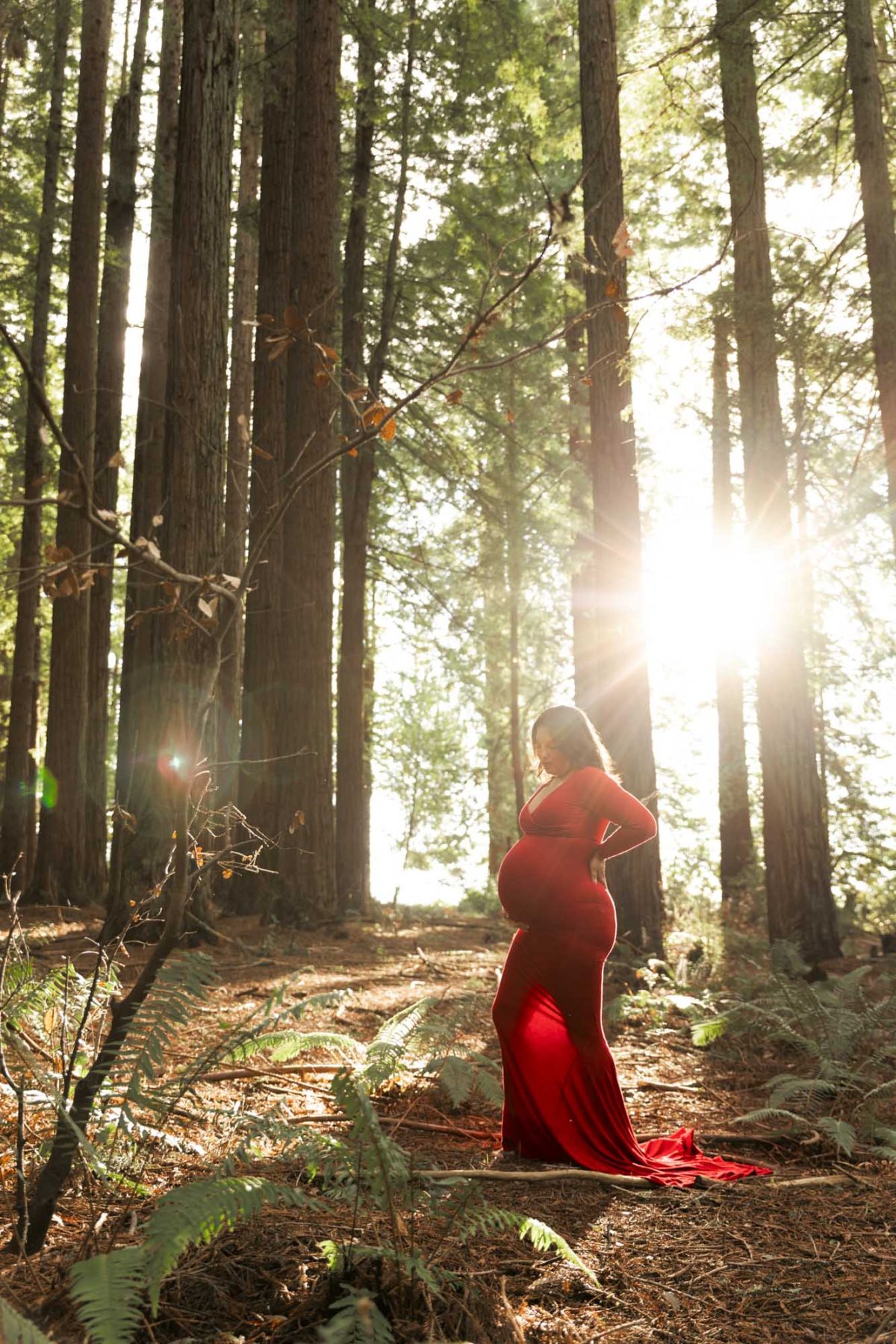 A pregnant woman in a long red dress poses for her redwood forest maternity photo amid towering trees. Bright sunlight streams through the canopy creating dramatic lens flare as she stands with one hand on her hip gazing downward while the fabric of her dress trails along the fern-covered forest floor.
