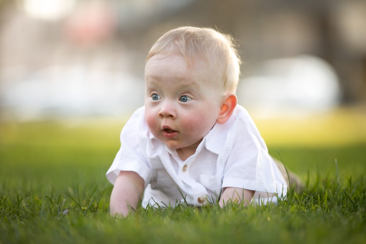 Infant in white collared shirt props up on soft lawn during a Sonoma Plaza kids photo shoot. Warm natural light reveals blonde hair and curious facial expression.