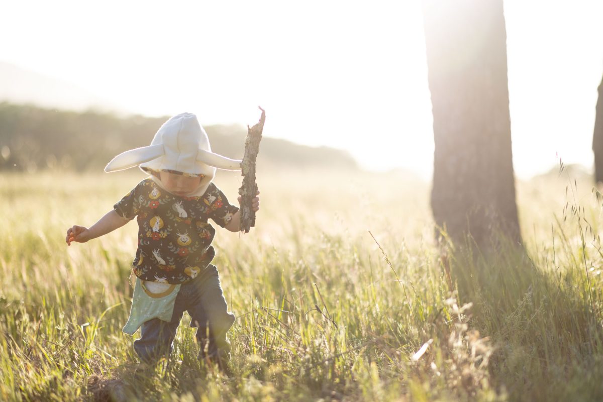 Young child in bunny ear hood shit carries stick through tall grass during his toddler portraits in Sonoma County. Warm golden sunlight highlights the patterned shirt with he looks around with his stick at the ready. 