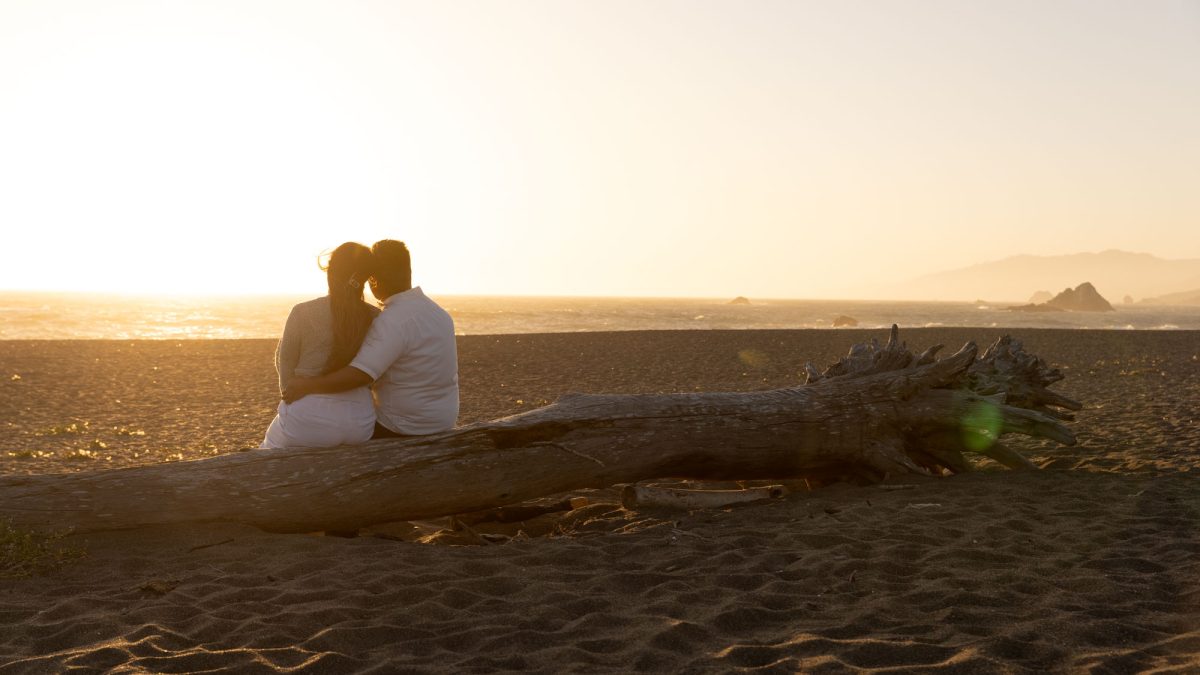 Cute Couples Photos Sonoma County