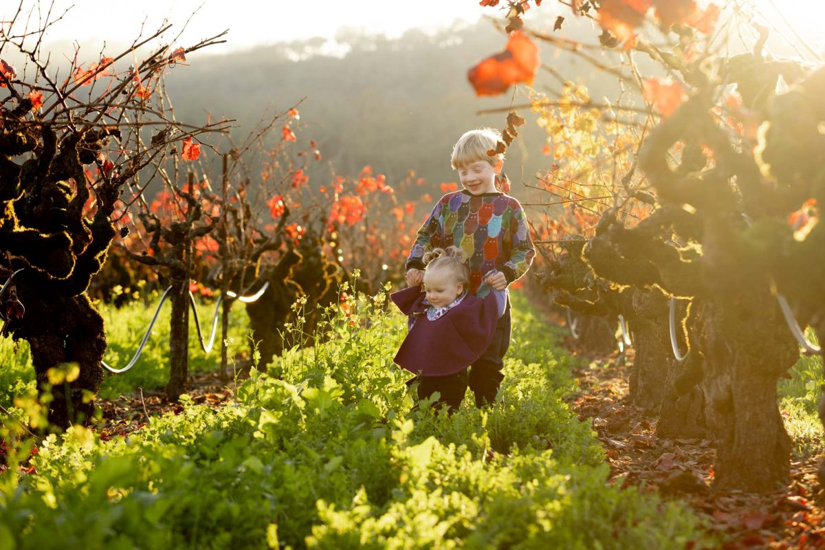 Family photos in Vineyard