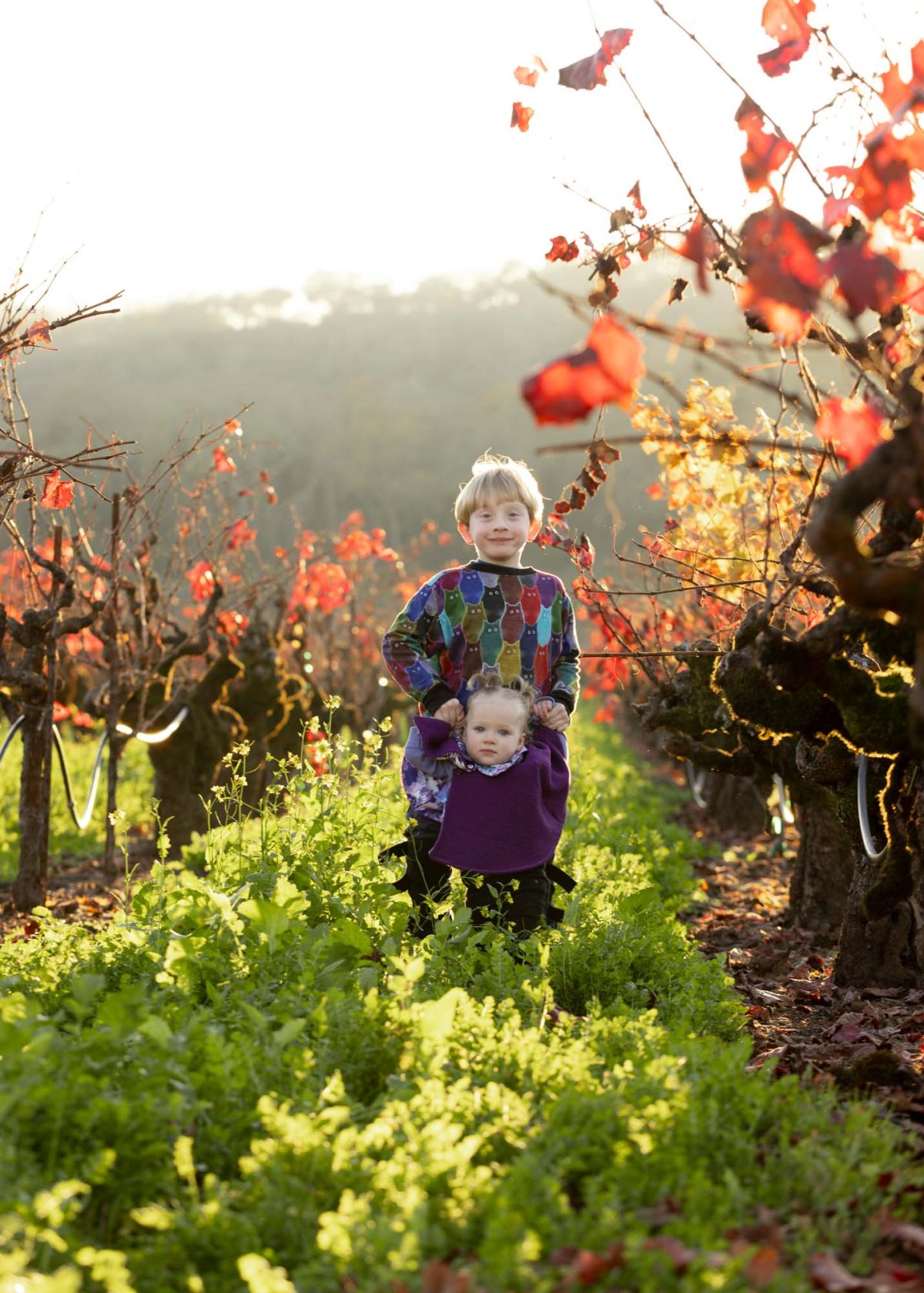 Family Portraits With Kids In Sonoma County