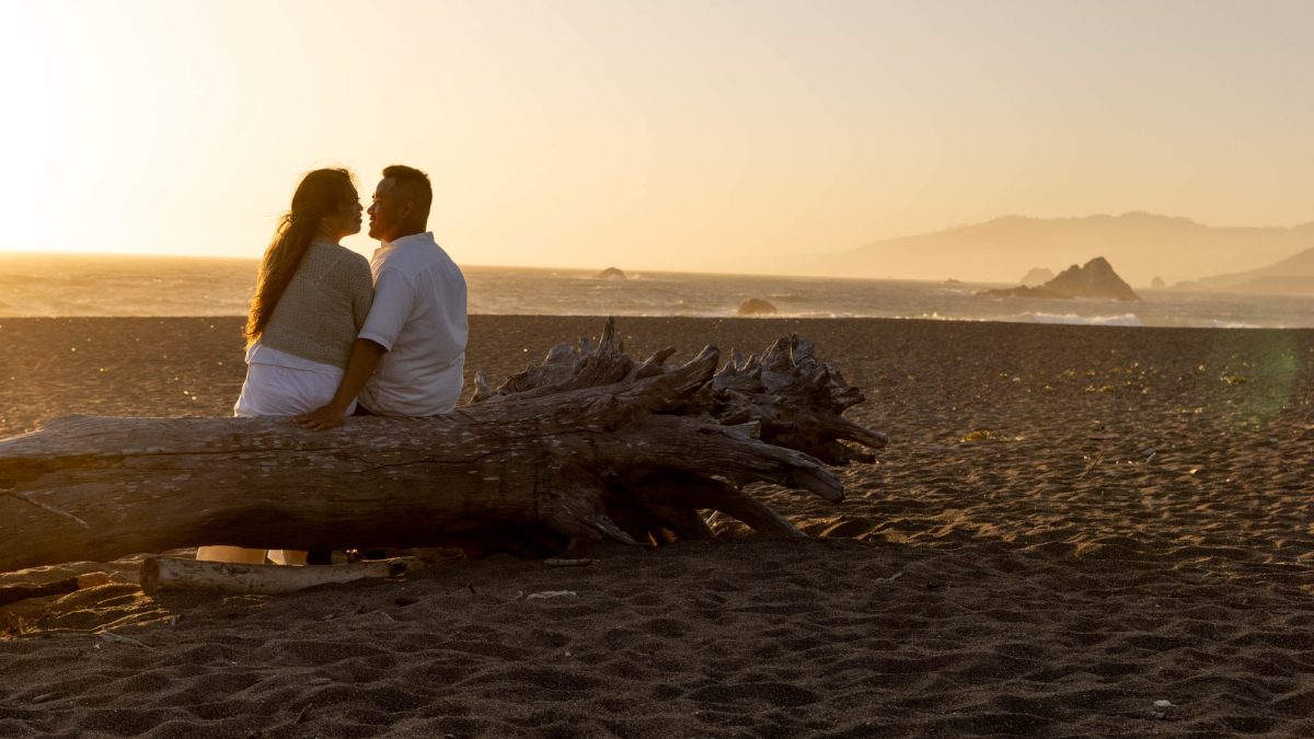 Romantic Couples Portraits Sonoma County