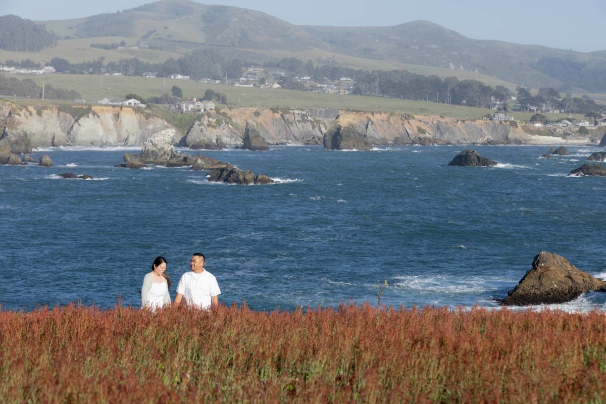 Sonoma Coast Beach Engagement
