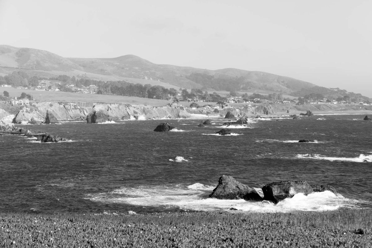 Sonoma County Coastal View