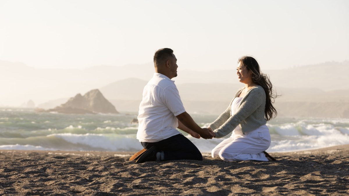 Sonoma county Engagement Photos at Sunset