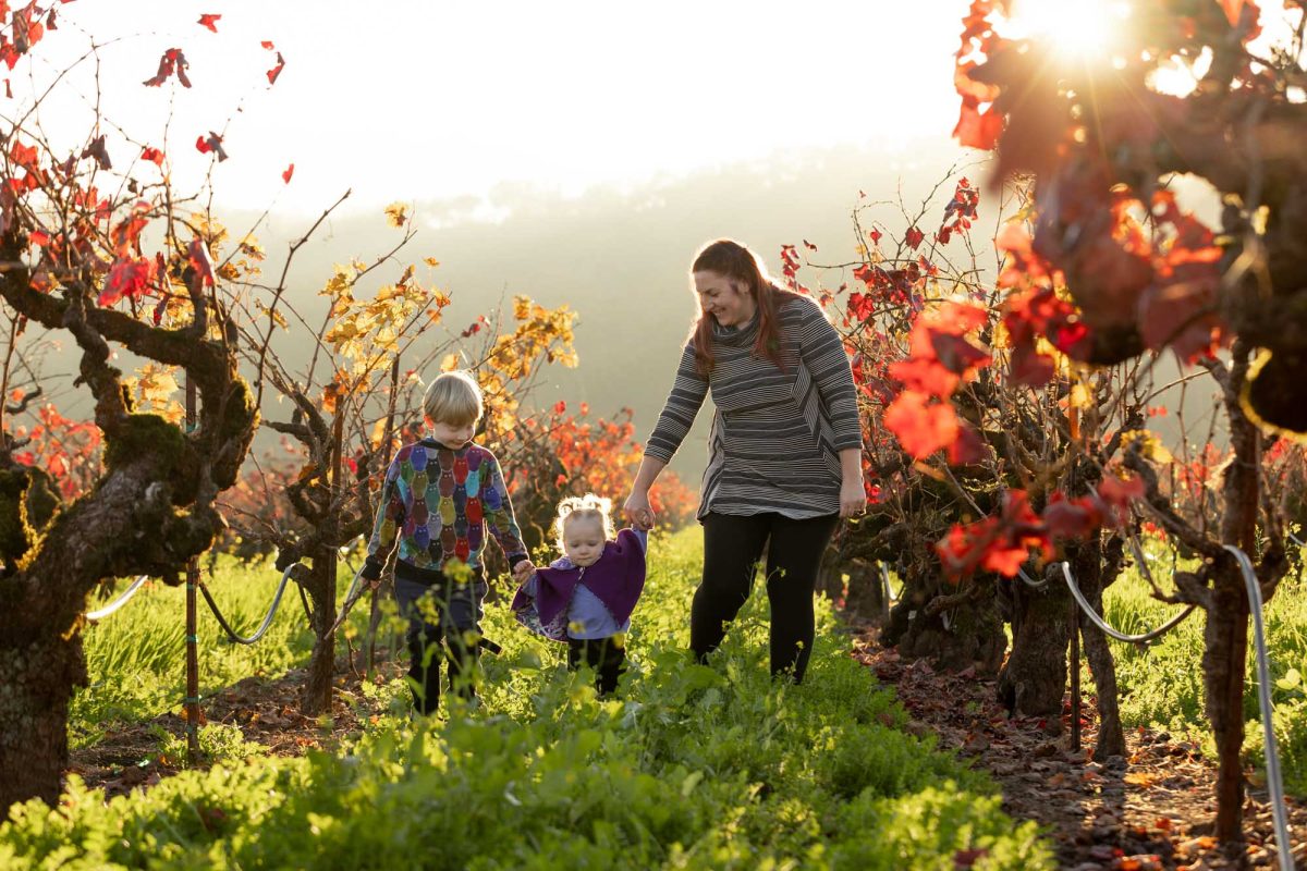 A woman smiling and holding hands with two young children—a boy in a colorful jacket and a toddler in purple—as they walk through rows of grapevines with red and yellow autumn leaves, with the sun setting in the background of this Sonoma County fall family portrait