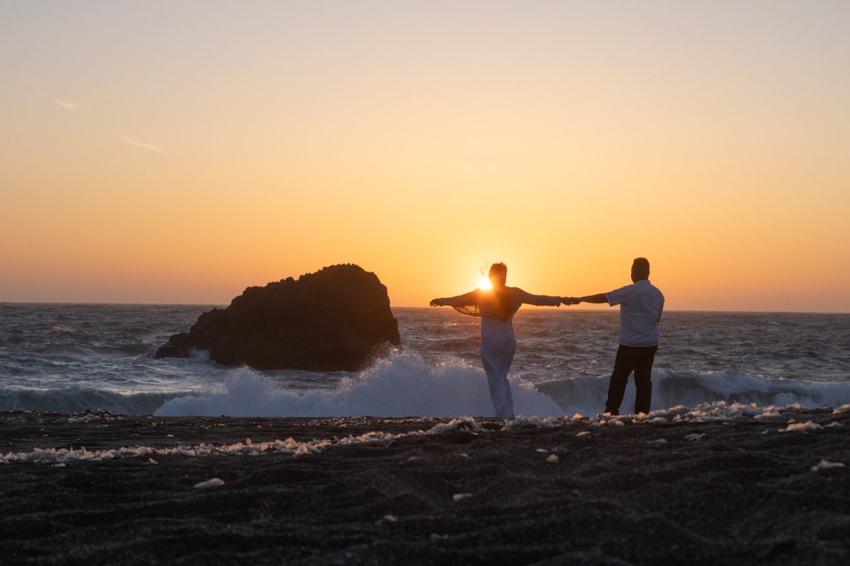 Sonoma County golden Hour Engagement
