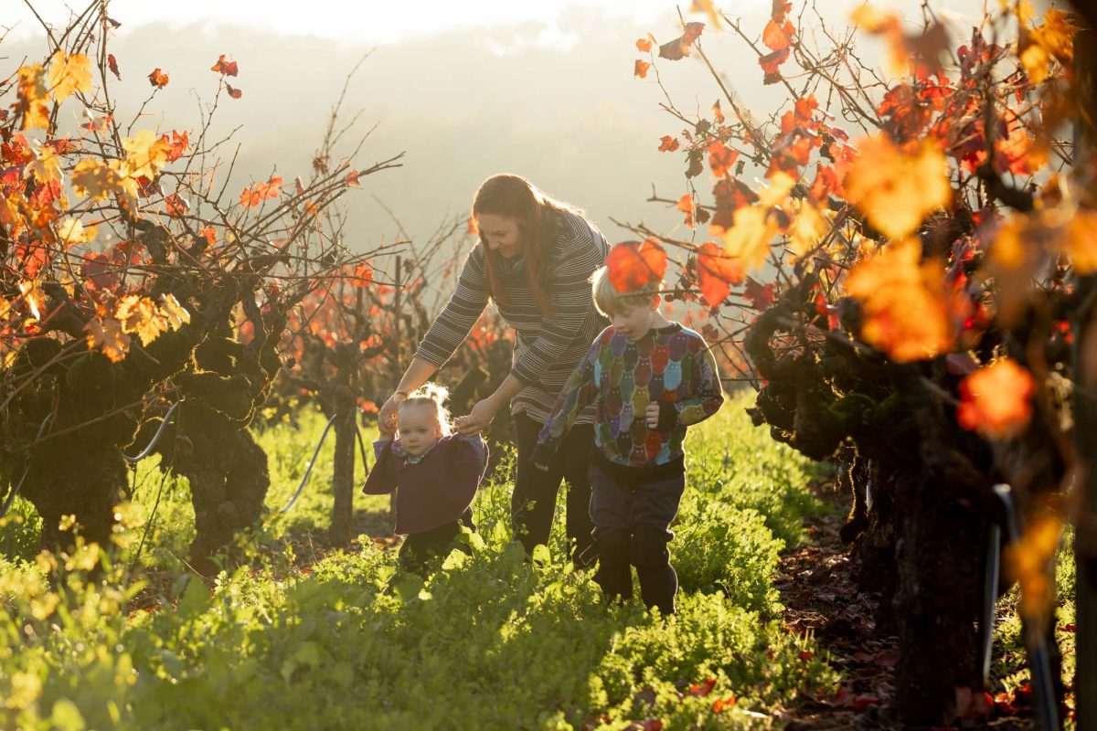 Sonoma County Portrait Photographer for Holiday Cards