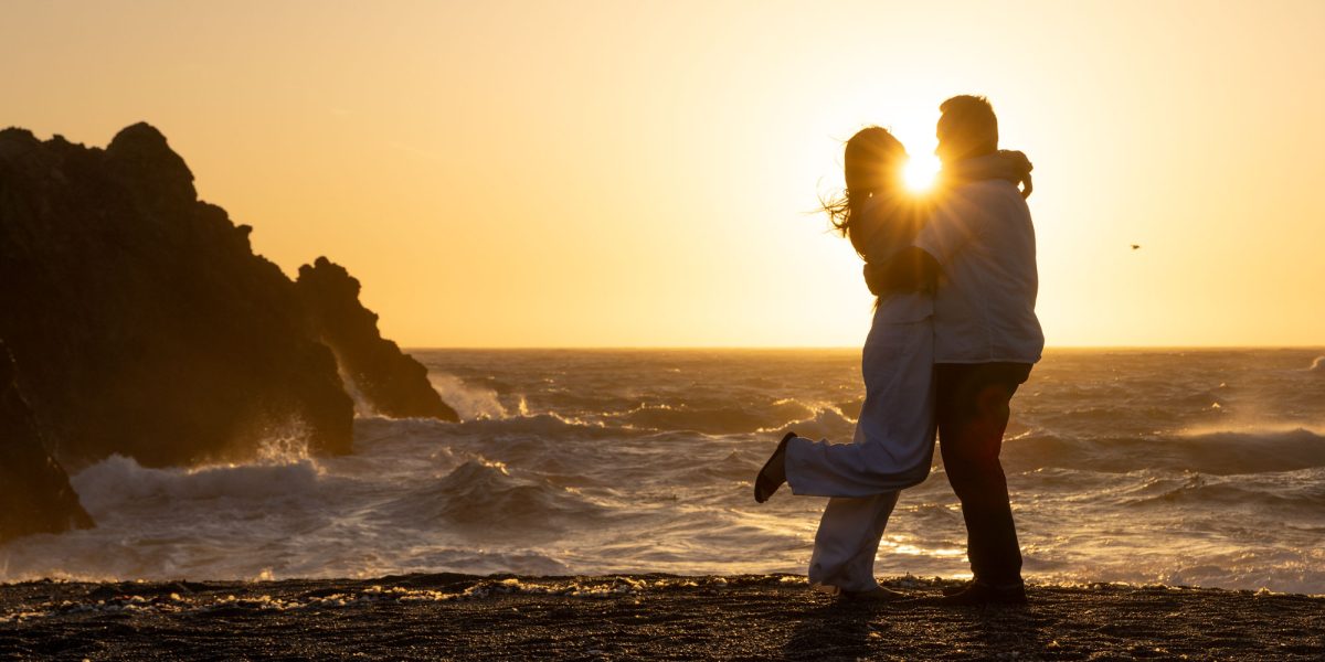 Sonoma County Surprise Proposal