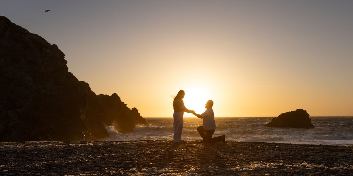 Sonoma County Surprise Proposal Photographer