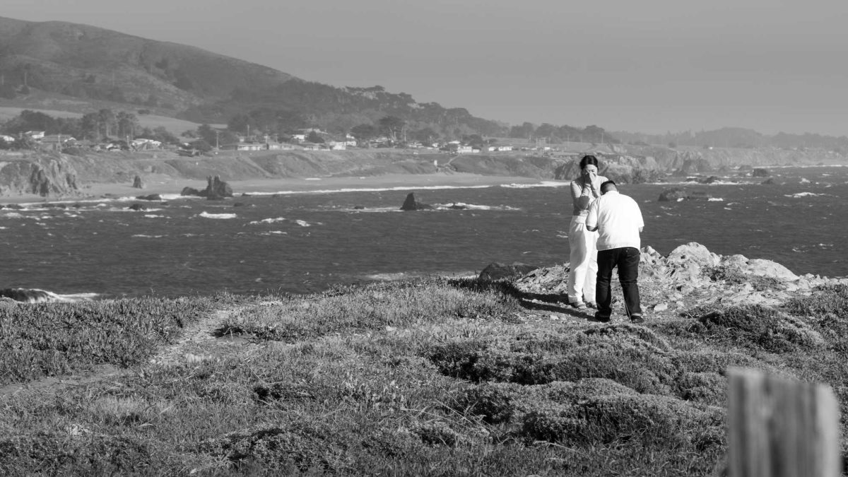 Sonoma County Surprise Proposal Photographer
