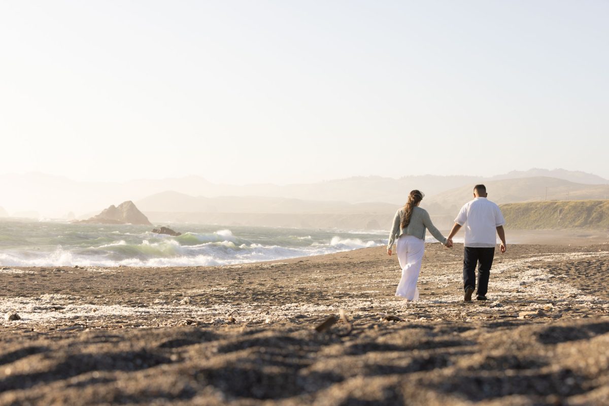 Sunset Couples Portraits Sonoma County