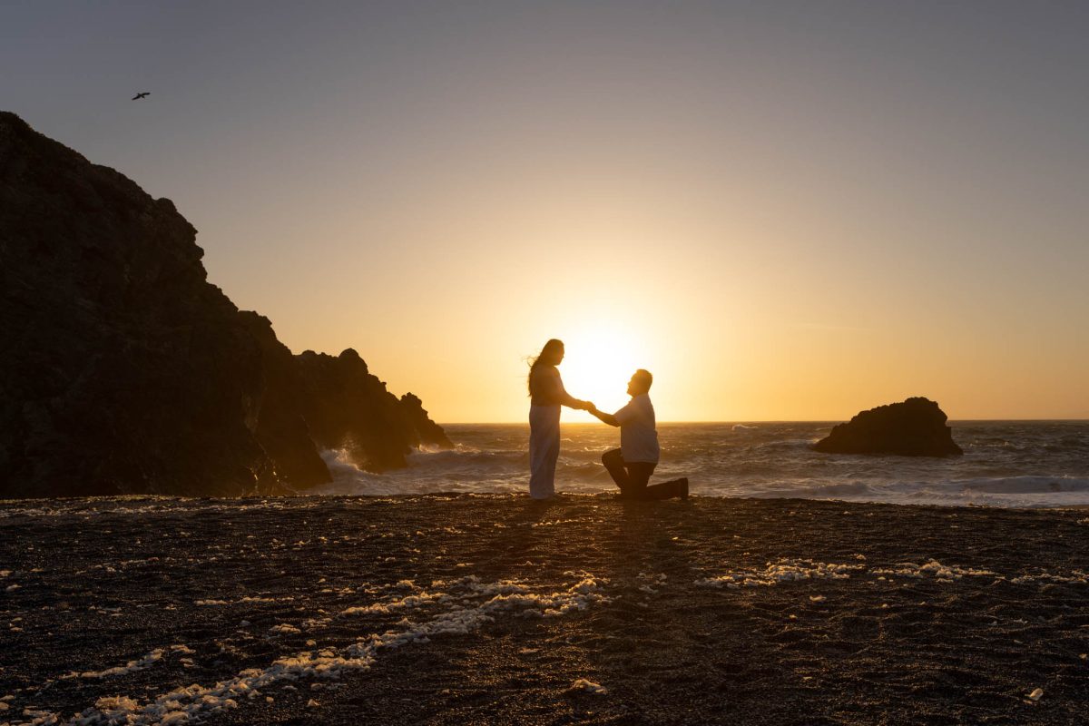 Surprise Proposal Sonoma County